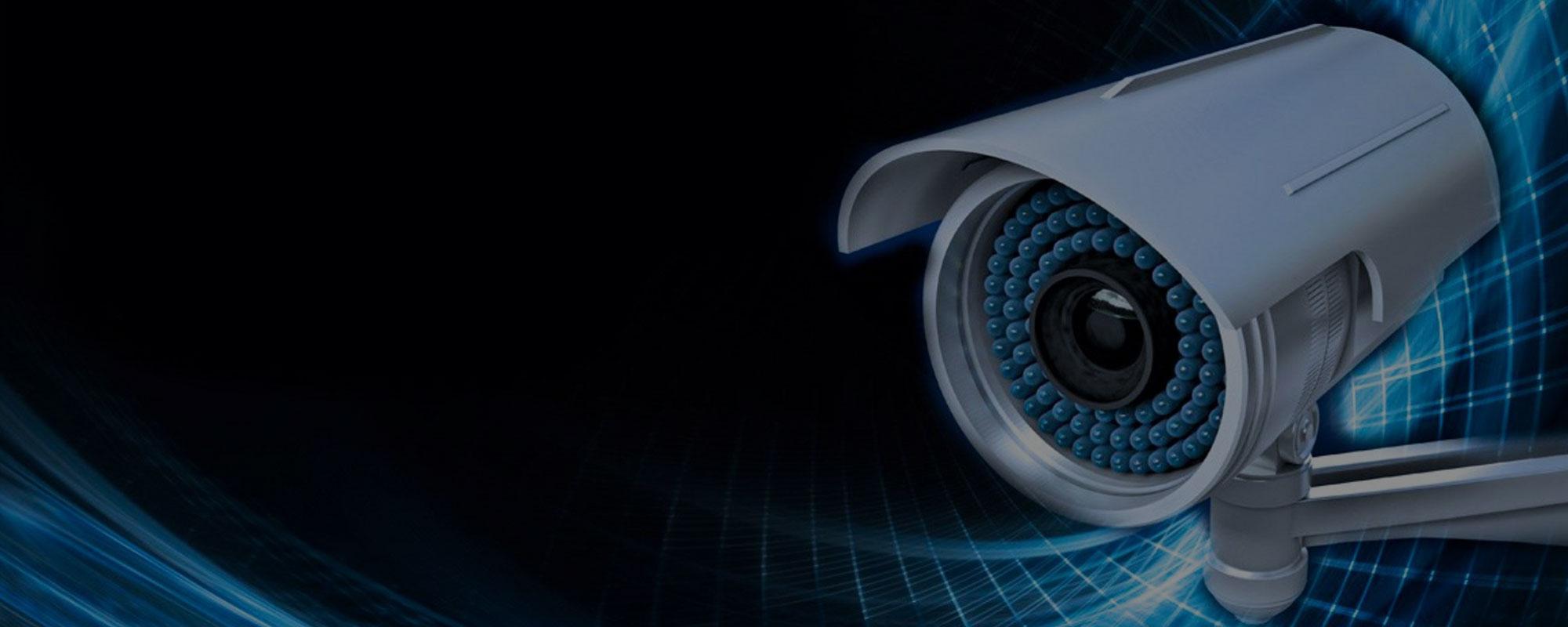 Electronic Security Services